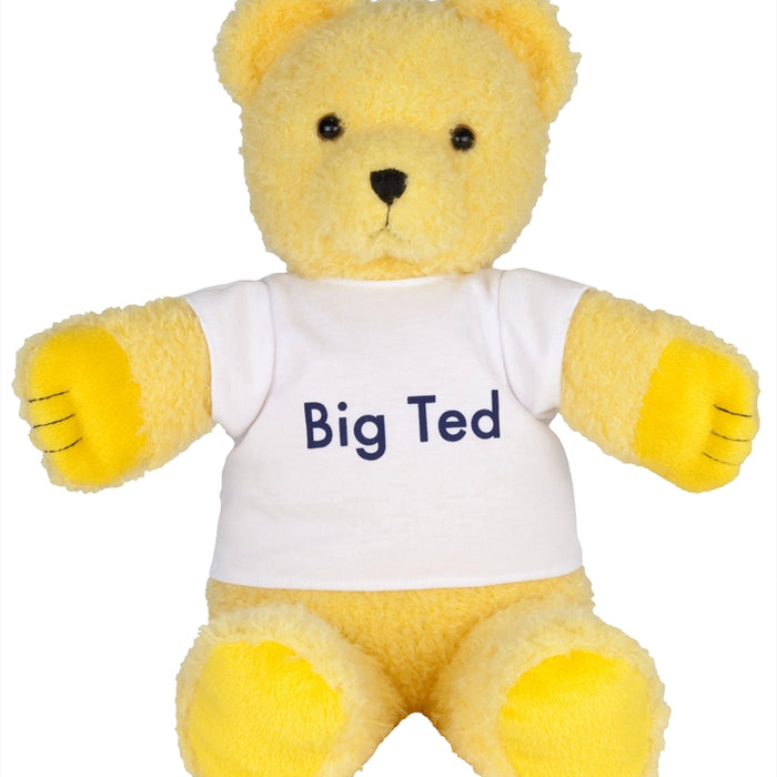Play School - Big Ted Plush